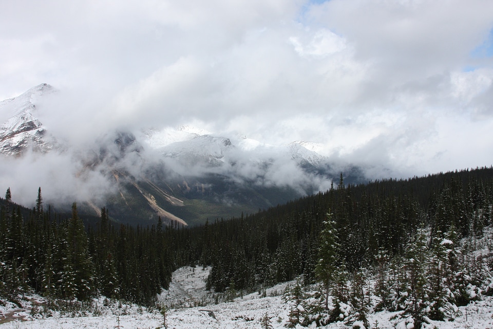 mount Edith Cavell and Angel Glacier in Jasper National Park