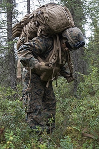 U.S. Marine Corps infantry riflemen photo