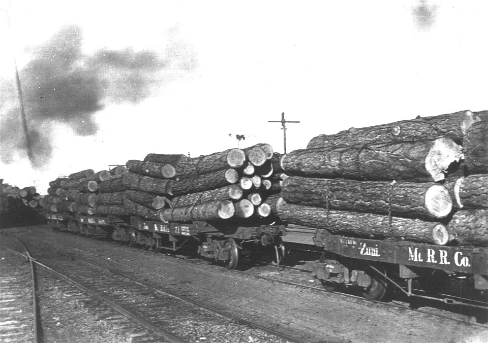 Historic Photos Cibola NF & NGs