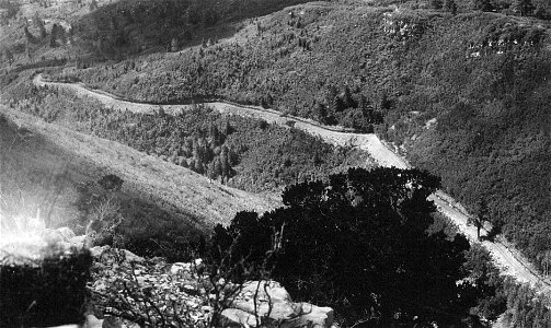 Historic Photo Cibola NF & NGs