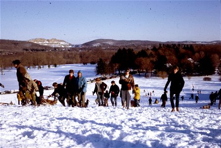 Family Slides (215)