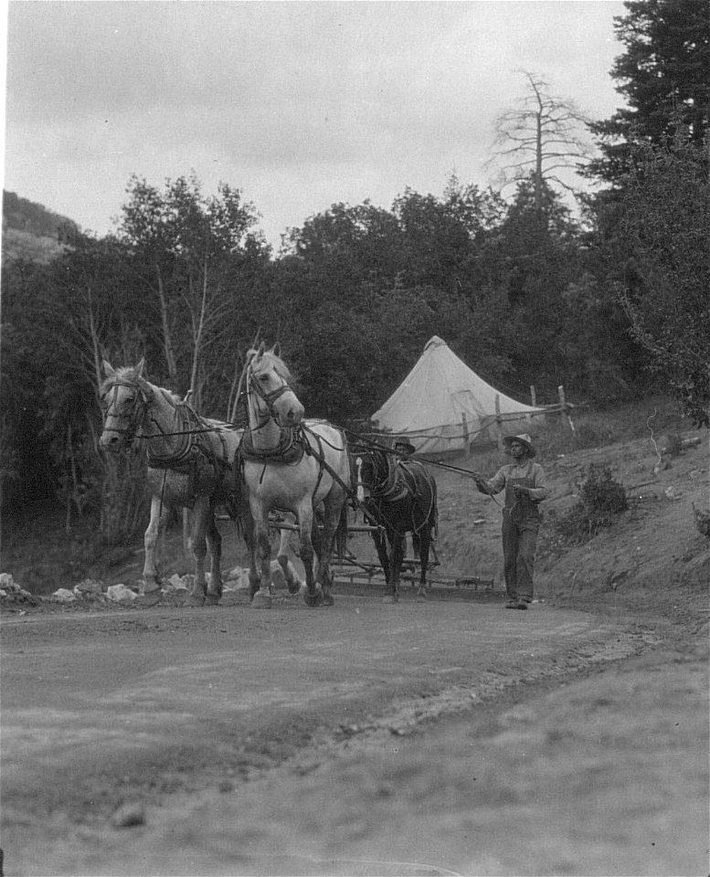 Historic Photo Cibola NF & NGs