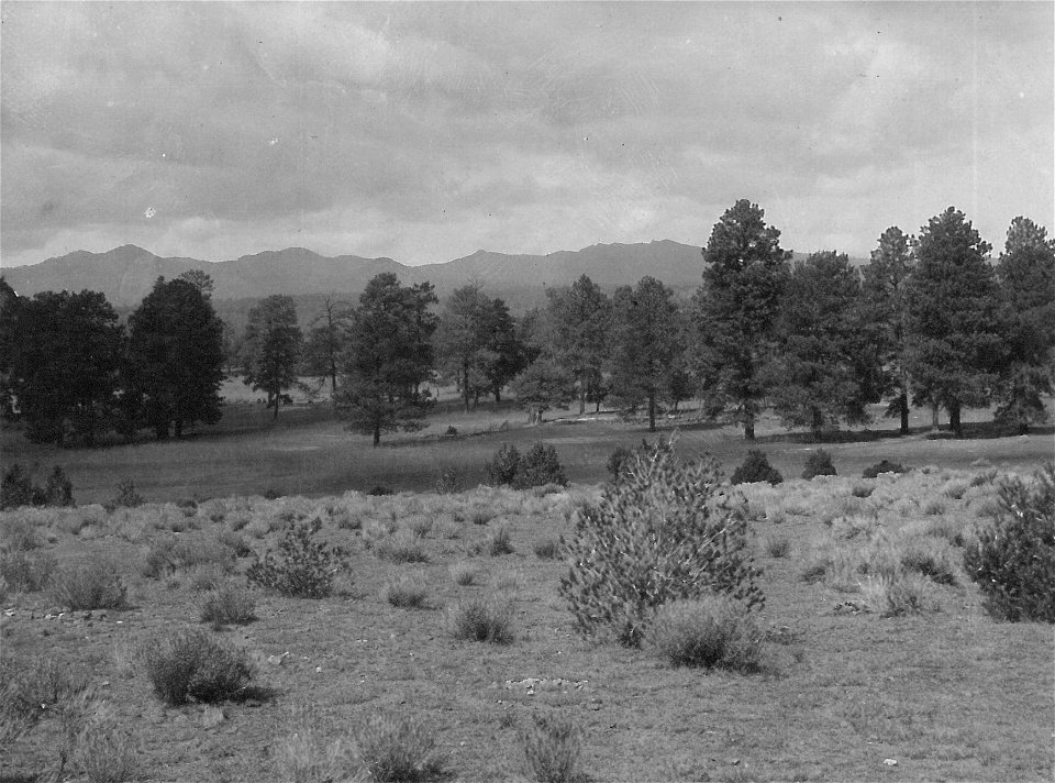 Historic Photo Cibola NF & NGs