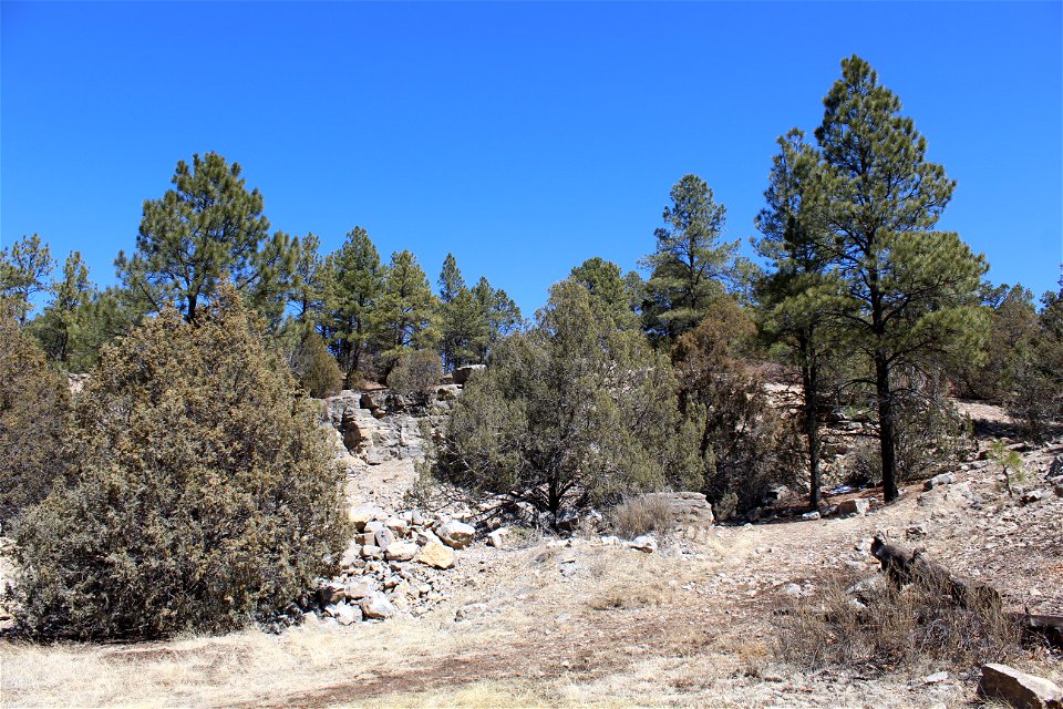 Sandia Ranger District – Pine Flat Picnic Area