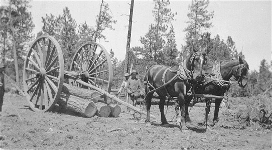 Historic Photos Cibola NF & NGs