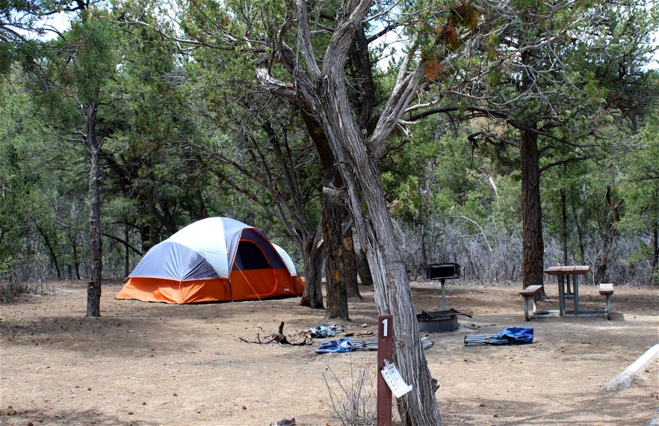 Mt Taylor RD Coal Mine Campground