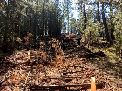 Mt. Taylor RD Road Restoration