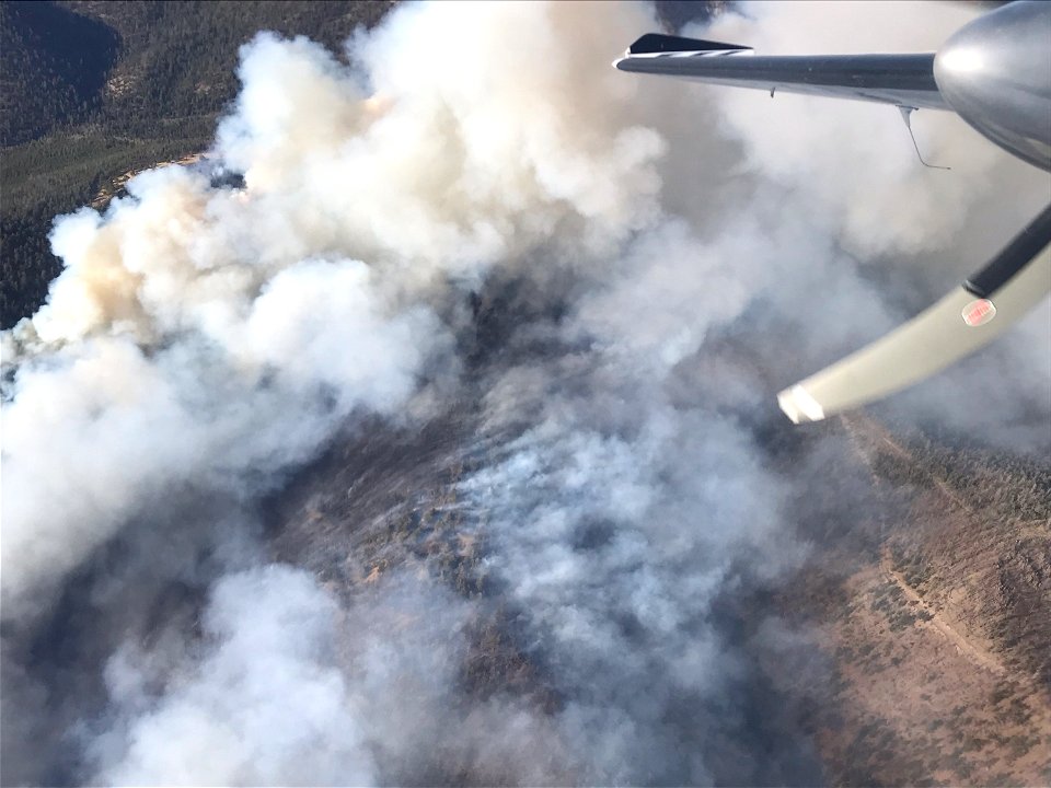 Magdalena RD Bear Trap Fire 2022