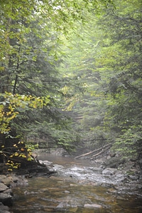 Ricketts Glen State Park