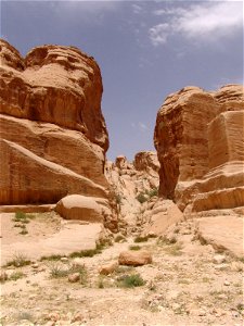 DSC07069