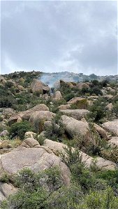 Spring Creek Lightning Strike