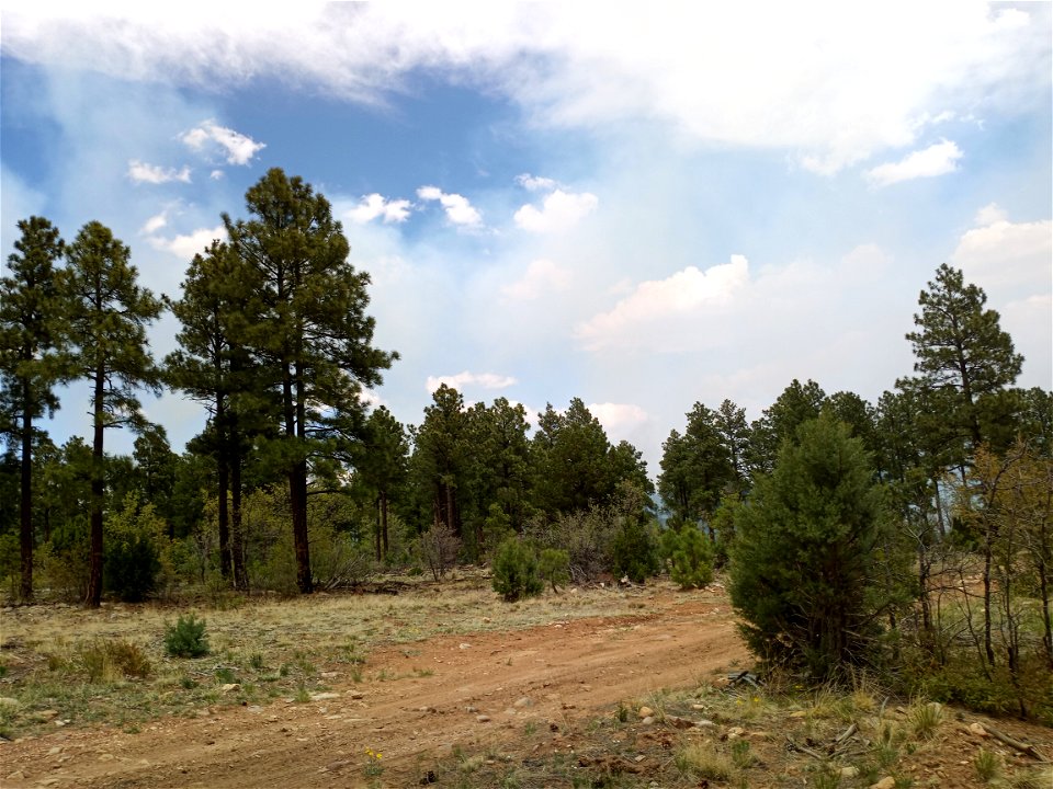 Thunderbird Prescribed Burn