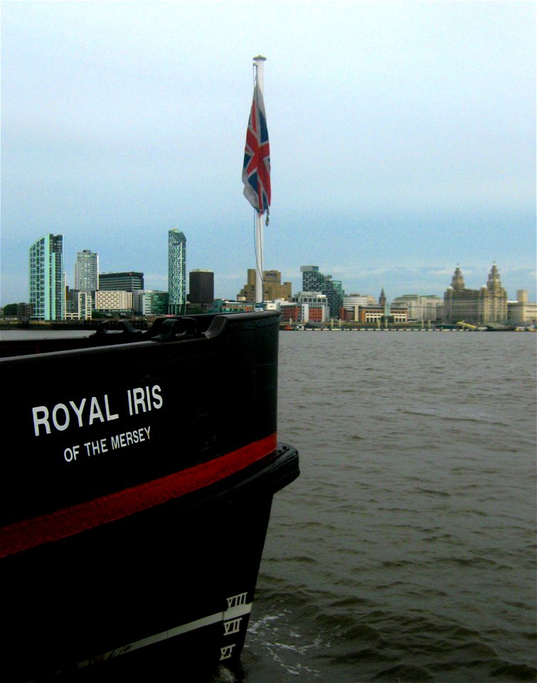 Royal Iris of the Mersey