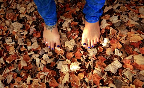 Timi's Toes photo