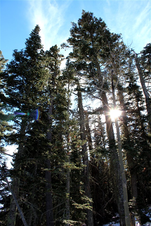 Ellis Trailhead Dec 2020