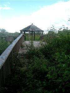 Liverpool Garden Festival Site