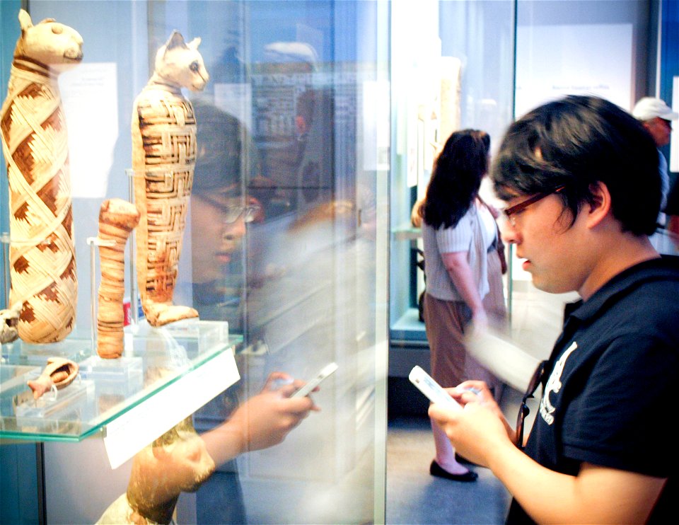 Mummified Cats