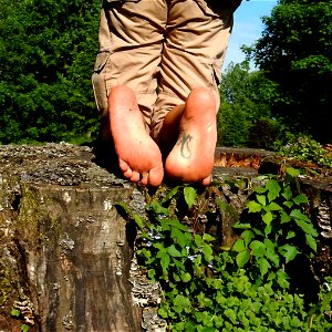 Timi's Feet photo