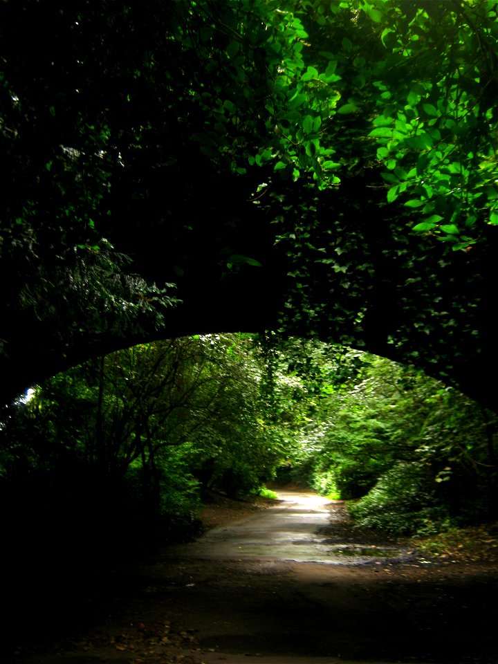 Otterspool Park - Bridge