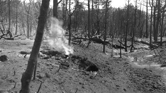 Historic Photos Cibola NF & NGs