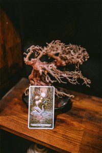 tarot (29 of 137)