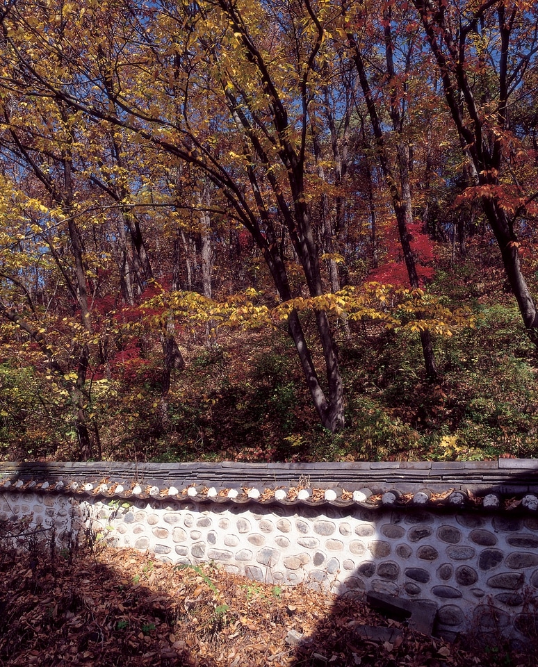 Autumn foliage in Korea