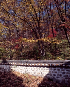 Autumn foliage in Korea