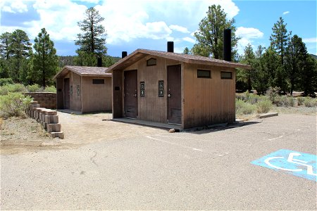 Mt Taylor RD Coal Mine Campground