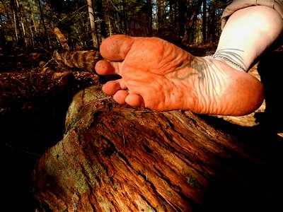 Timi's Feet