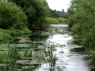 Kingsbury 016