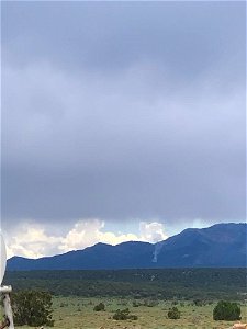 Mountainair RD Cottonwood Lightning Strike