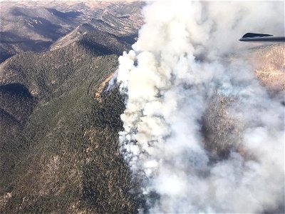Magdalena RD Bear Trap Fire 2022