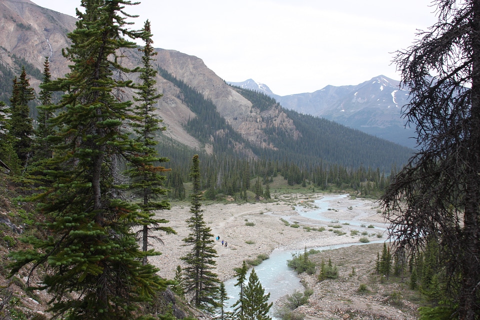 Temple pass trail in Banff National Park, Alberta, Canada