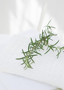 Branches of rosemary and towels, photo