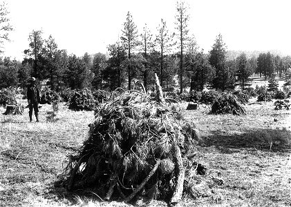 Historic Photos Cibola NF & NGs