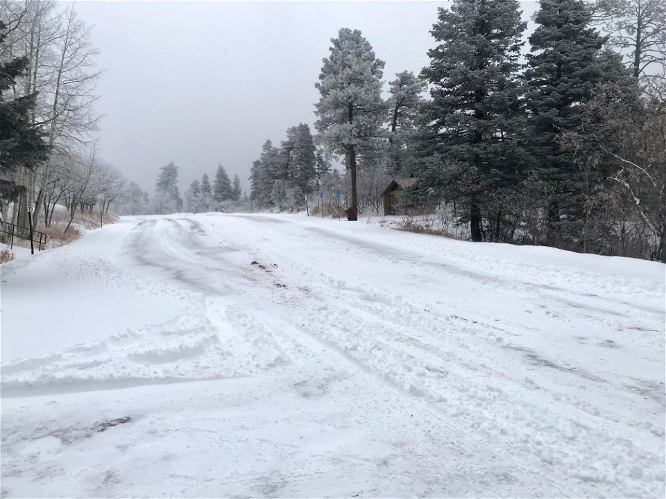 Sandia Crest Byway 536 in snow