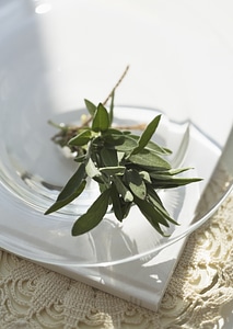 Arrangement of aromatic fresh sage, a savoury culinary potherb