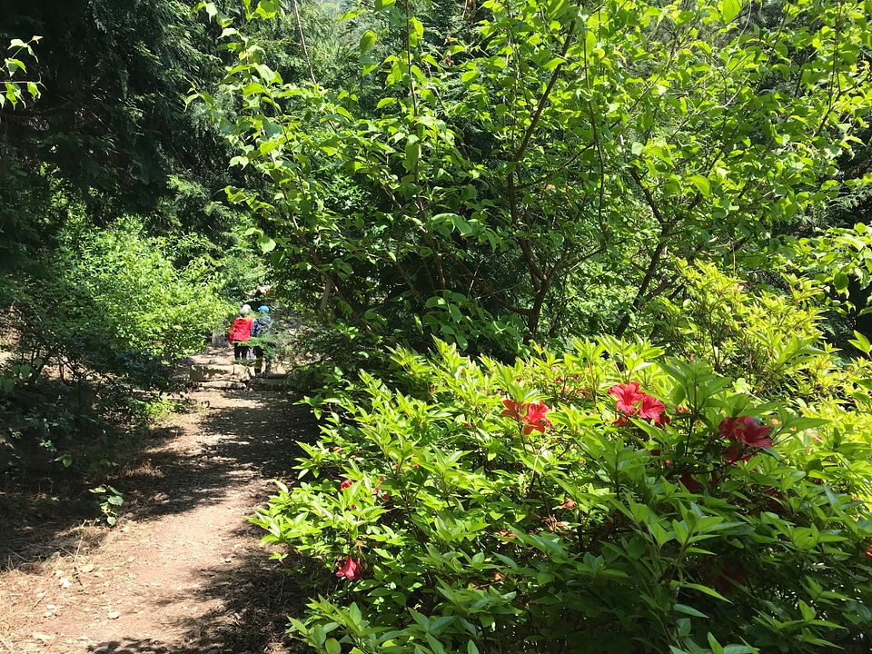 Hiking Saryangdo Tongyeong Island South Korea