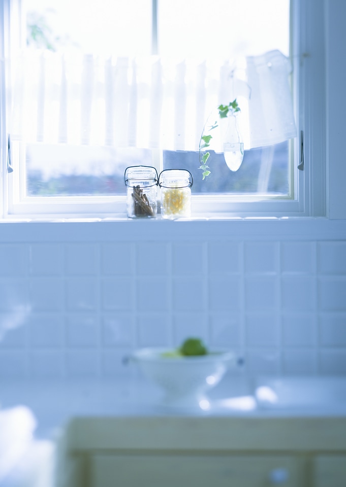 Indoor plant in a bathroom window