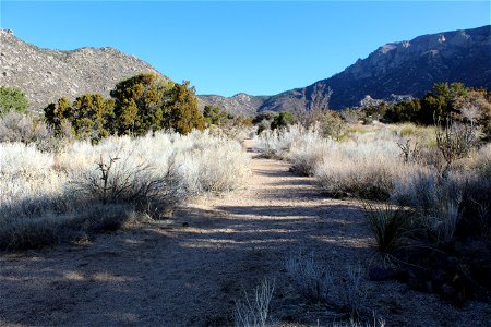 Sandia Ranger District – 3 Gun Trailhead