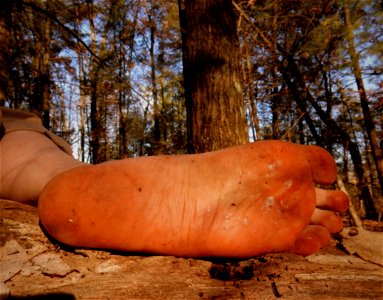 Timi's Bare feet photo