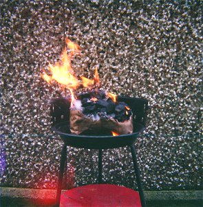 Barbecue photo