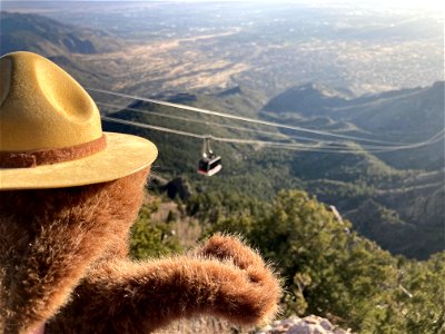 Smokey Bear
