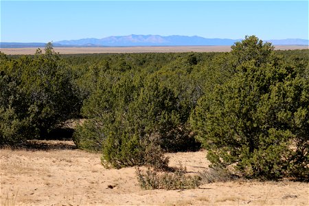 Gallinas Mountains