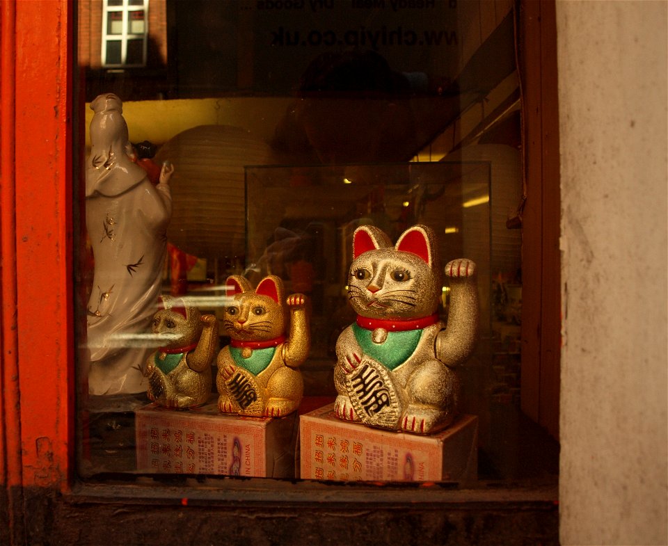 Chinese Cats photo