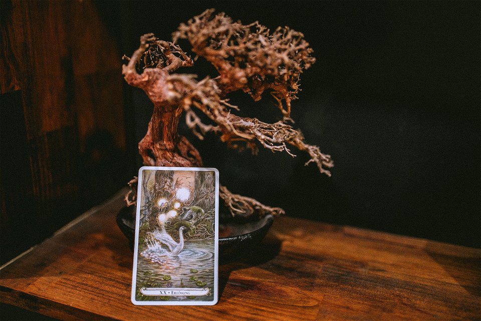 tarot (30 of 137)