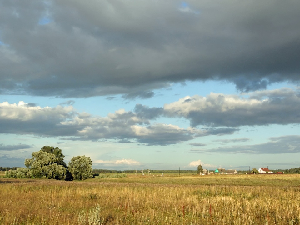 Russia Landscape Scenic Fields