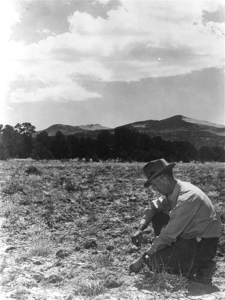 Historic Photo Cibola NF & NGs
