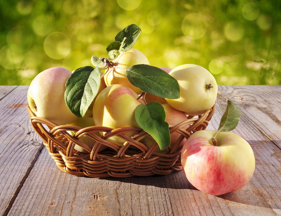 Basket With Apples