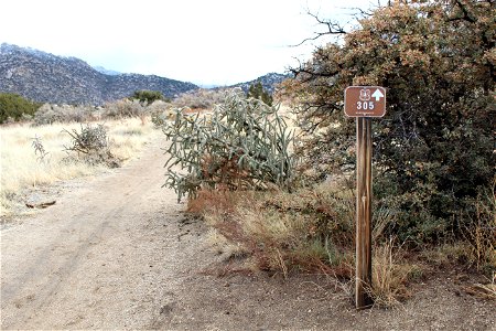 Sandia RD Trail 305 photo